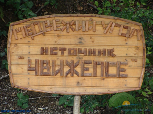 Чудодейственный целебный источник